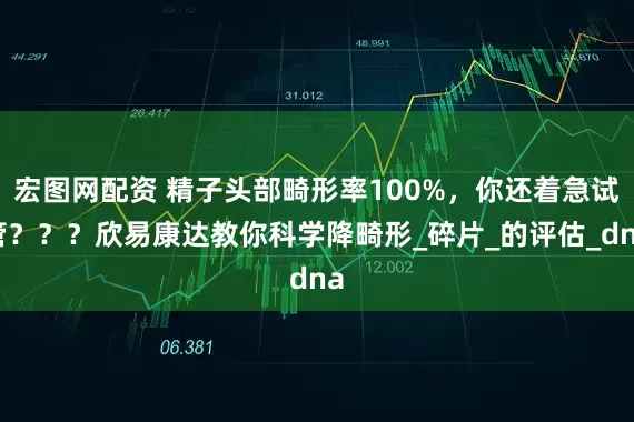 宏图网配资 精子头部畸形率100%，你还着急试管？？？欣易康达教你科学降畸形_碎片_的评估_dna