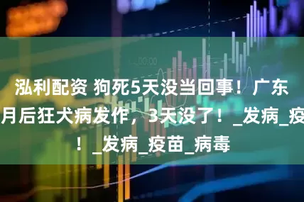 泓利配资 狗死5天没当回事！广东男子3个月后狂犬病发作，3天没了！_发病_疫苗_病毒