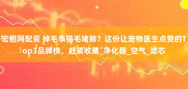 宏图网配资 掉毛季猫毛堵肺？这份让宠物医生点赞的Top3品牌榜，赶紧收藏_净化器_空气_滤芯